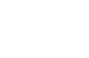 Eagle logo vector icon with Aquila text in white